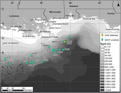 Validation of Oil Trajectory and Fate Modeling of the Deepwater Horizon Oil Spill